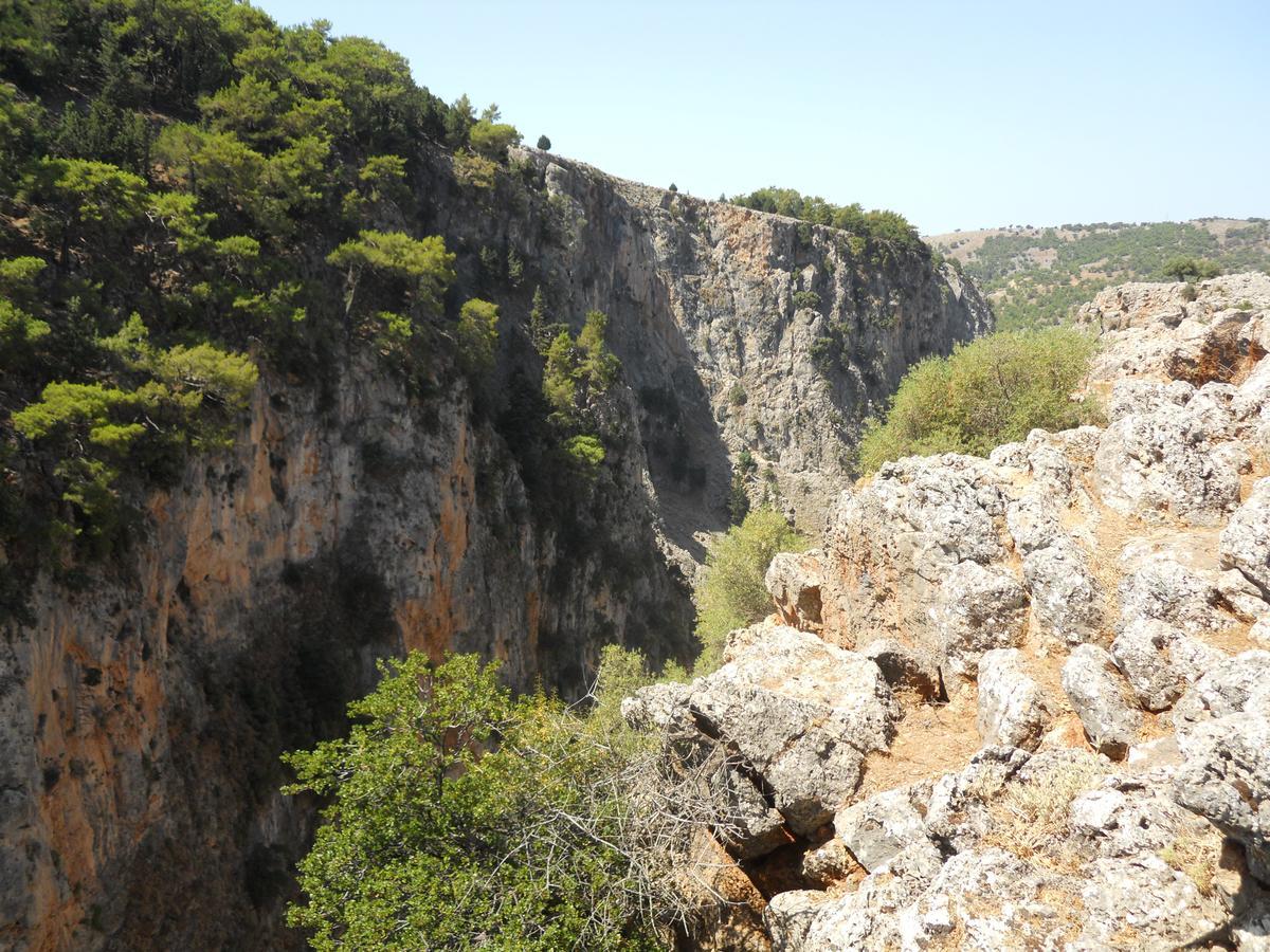 Daskalogiannis Hotel